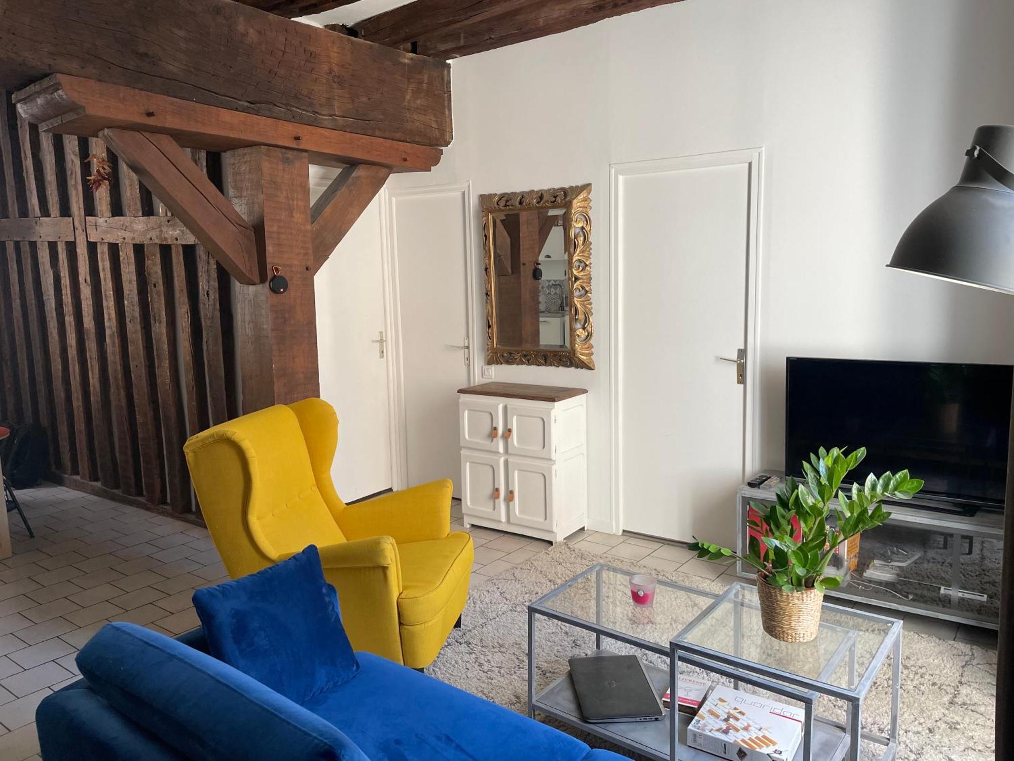 Le Charme De L'ancien En Hyper Centre Apartment Orléans