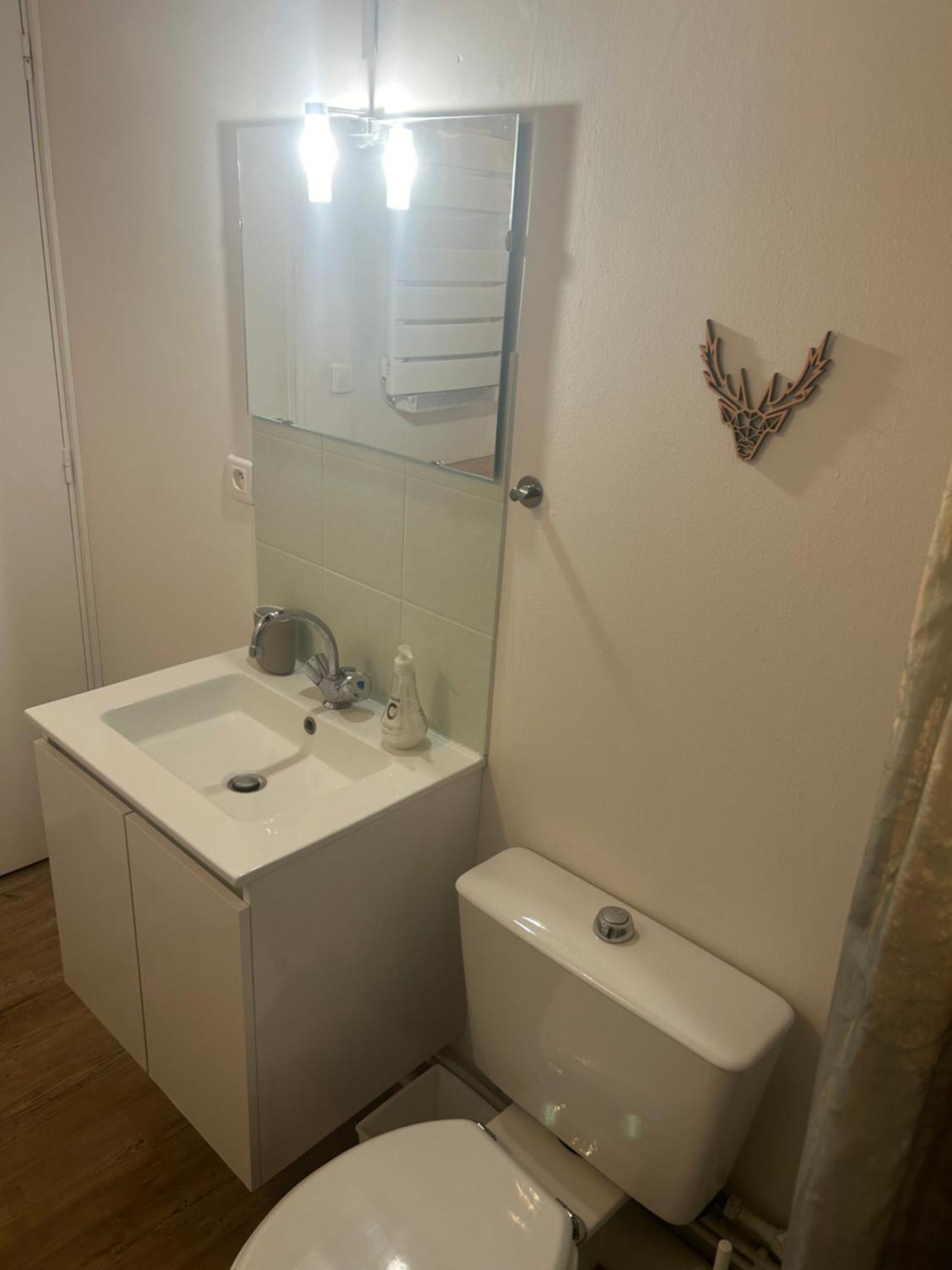 Le Charme De L'ancien En Hyper Centre Apartment *